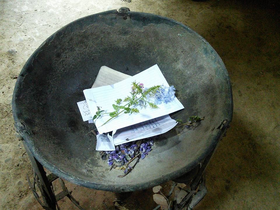 Our notes to Vergil at his tomb